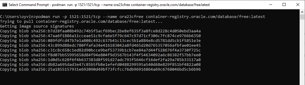 podman downloads image from container-registry.com
